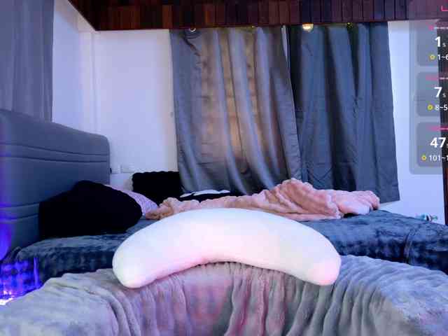 Leinbone webcam