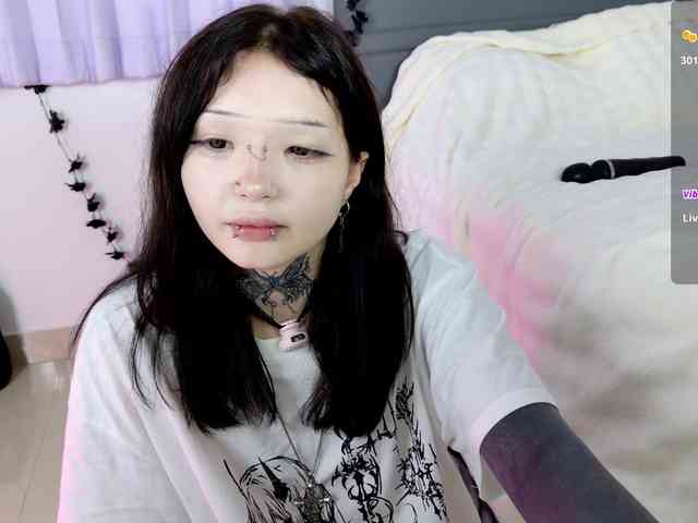 Leinbone webcam