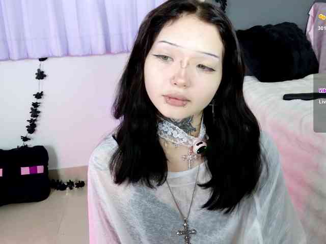Leinbone webcam