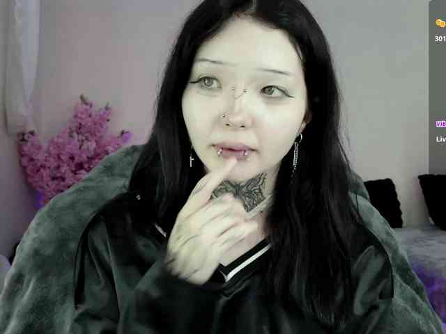 Leinbone webcam