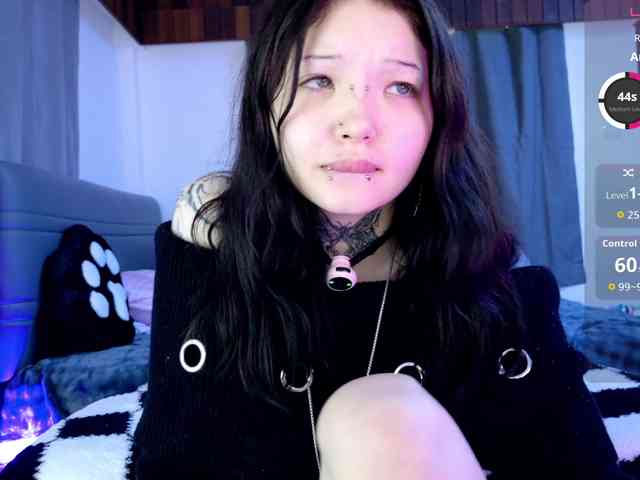 Leinbone webcam