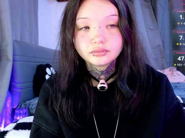 Leinbone webcam
