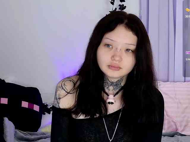 Leinbone webcam