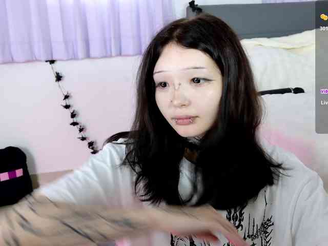 Leinbone webcam