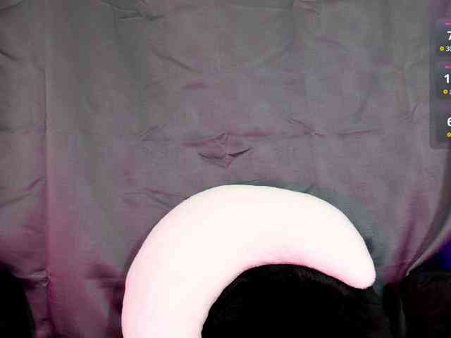 Leinbone webcam