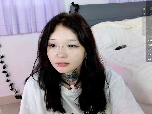 Leinbone webcam