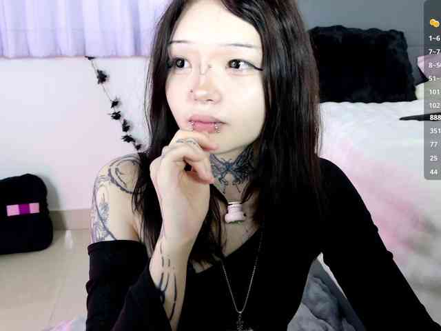 Leinbone webcam