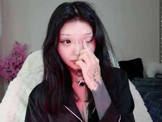 Leinbone webcam
