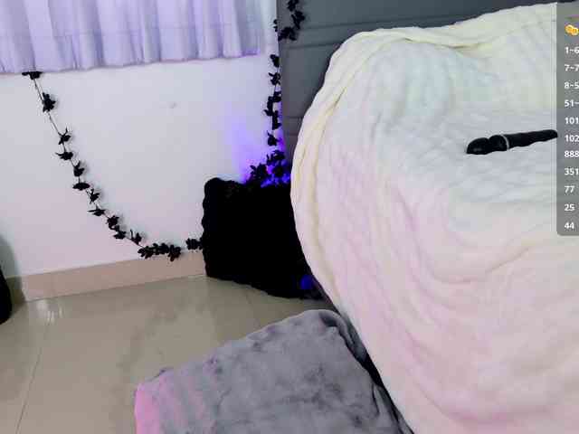 Leinbone webcam