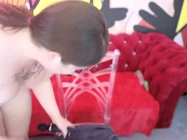 StarryDoll webcam