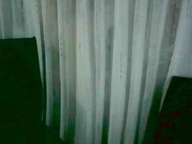 arabianZ webcam