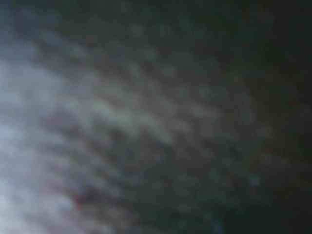 arabianZ webcam