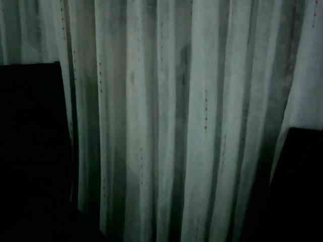 arabianZ webcam