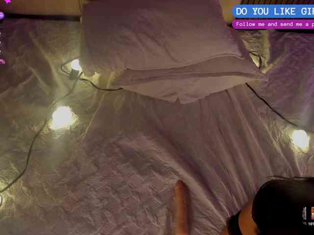 Kendall-19 webcam