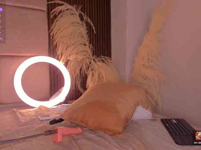 Kendall-19 webcam