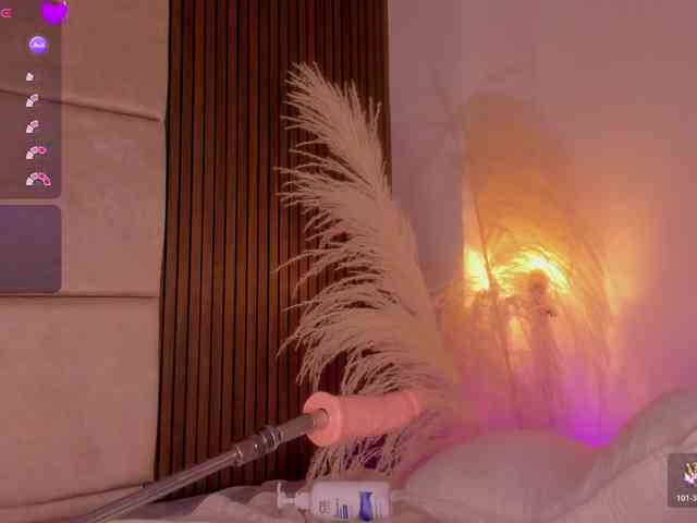 Kendall-19 webcam