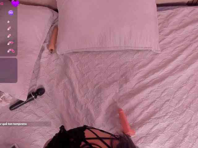 Kendall-19 webcam