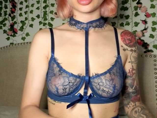 Xoxcat