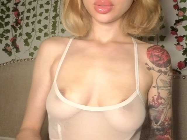 Xoxcat