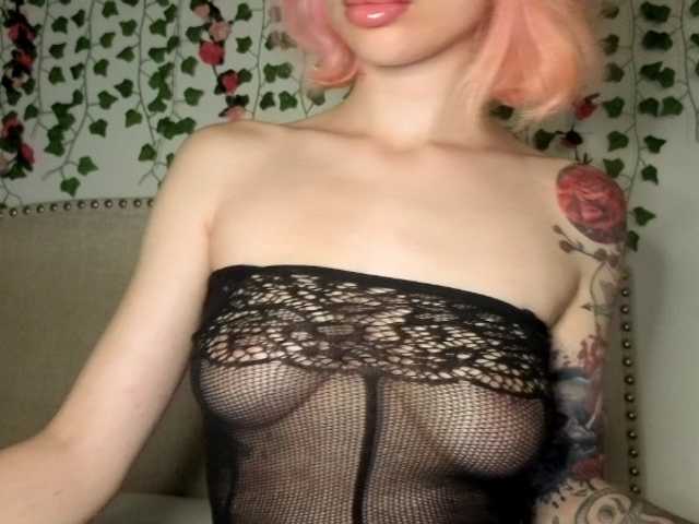 Xoxcat
