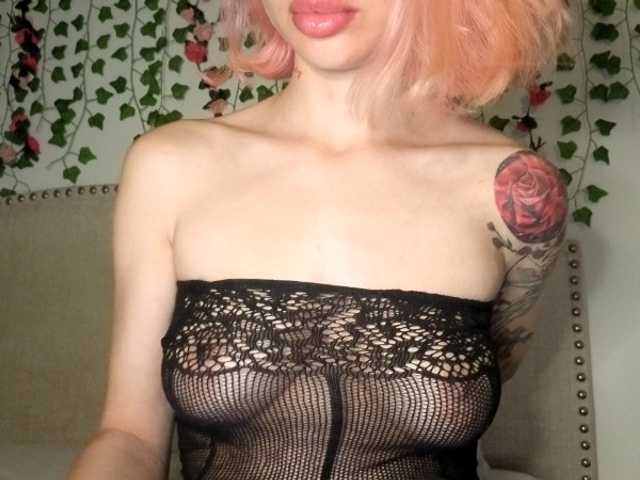 Xoxcat live cam on BongaCams