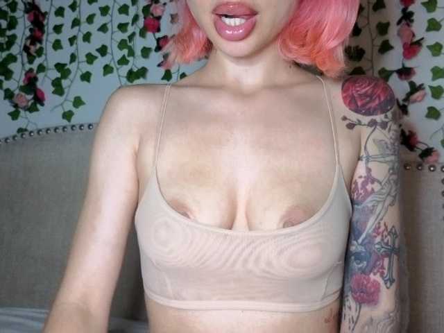 Xoxcat live webcam show
