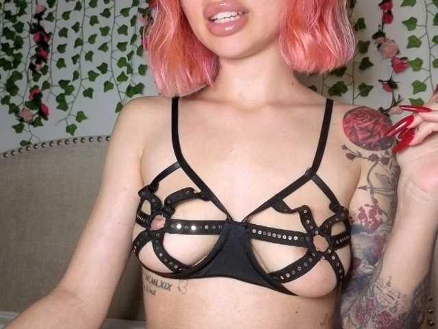 Xoxcat live cam on BongaCams