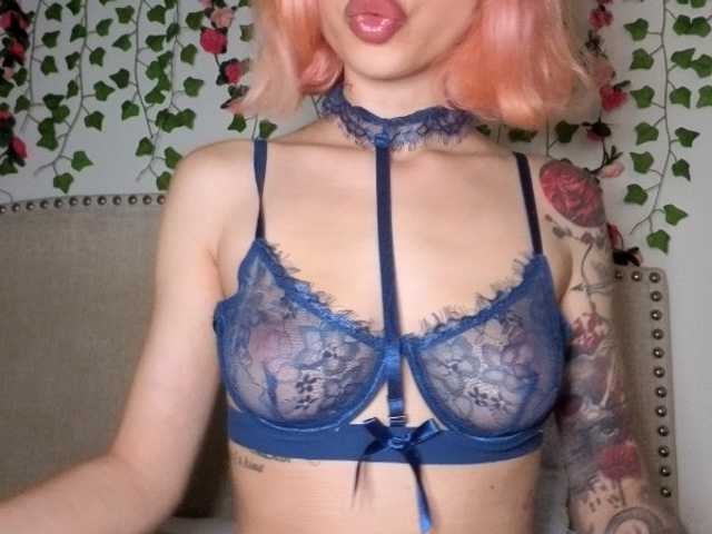 Xoxcat live webcam show