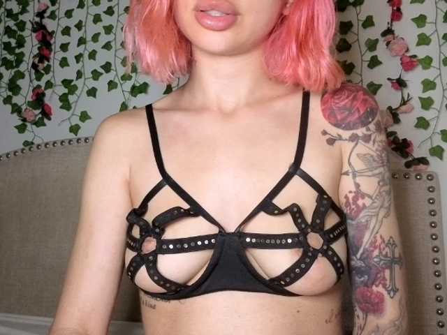 Xoxcat live cam on BongaCams
