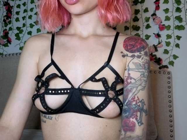 Xoxcat live cam on BongaCams