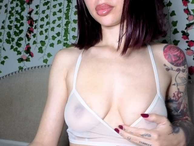 Xoxcat live cam on BongaCams