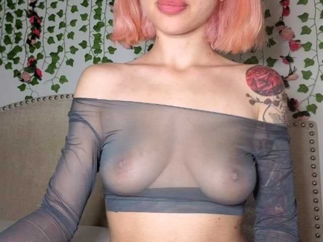Preview of xoxcat