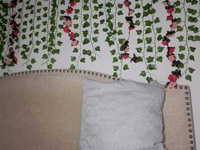 Xoxcat