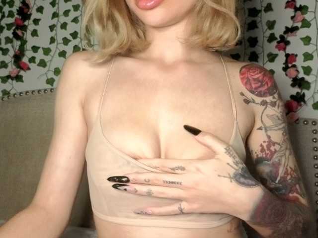 Xoxcat