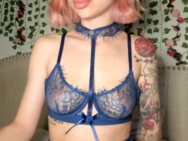 Xoxcat live cam on BongaCams