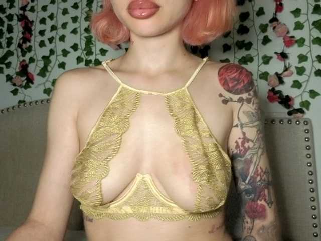 Xoxcat live cam on BongaCams
