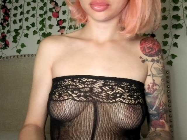Xoxcat