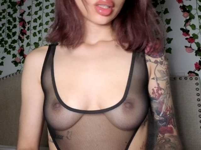 Xoxcat live cam on BongaCams