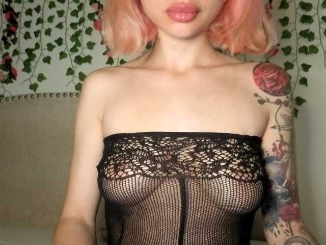 Xoxcat