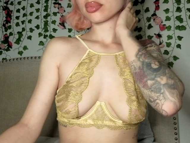 Xoxcat