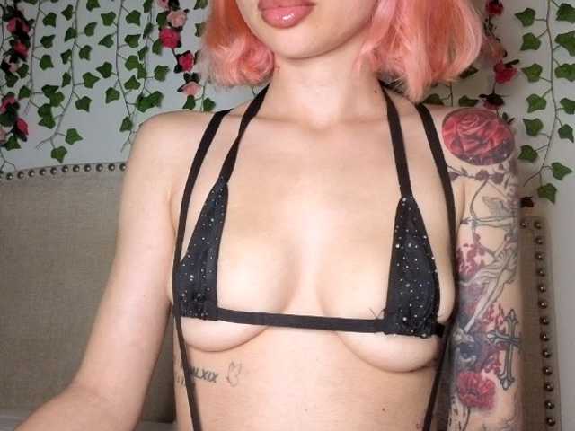 Xoxcat live webcam show