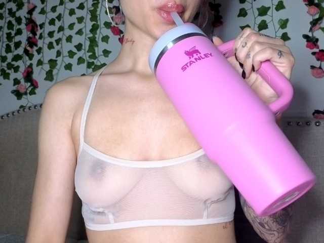 Xoxcat live cam on BongaCams