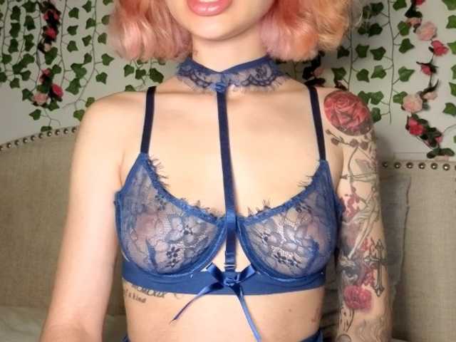xoxcat cam belle
