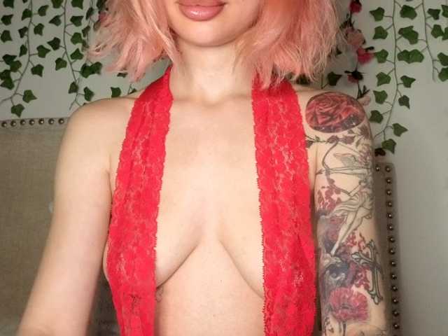 Xoxcat live webcam show