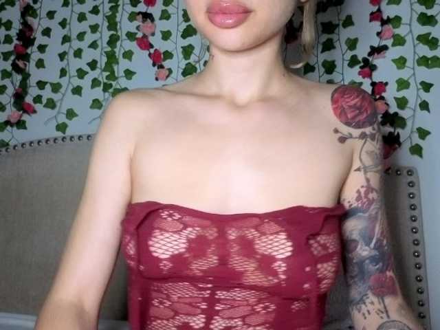Xoxcat live cam