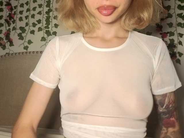 Xoxcat