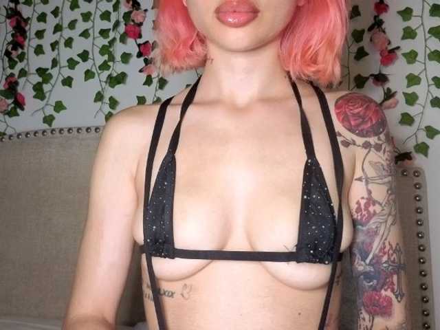 Xoxcat live webcam show