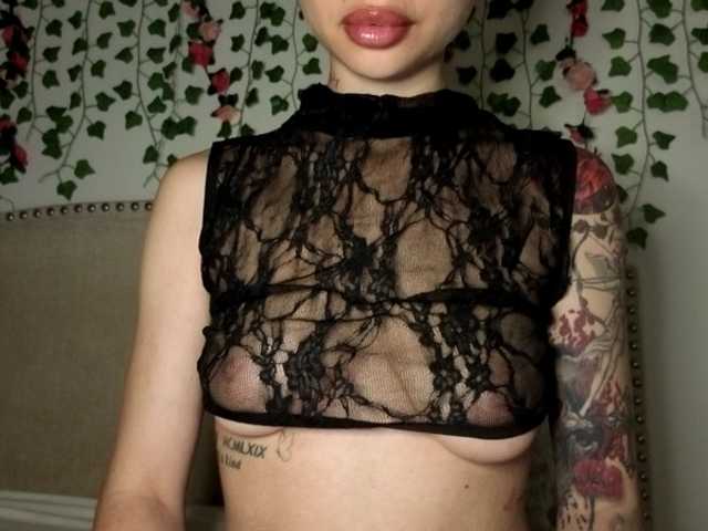 Xoxcat live cam on BongaCams