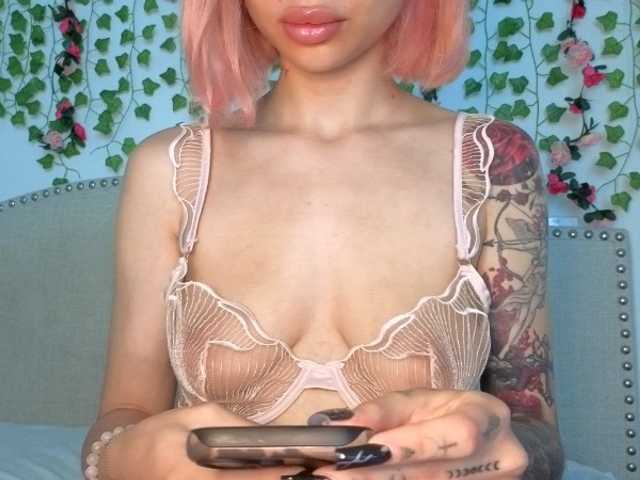 Xoxcat