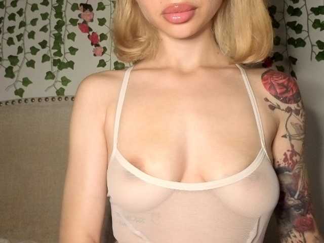 Xoxcat